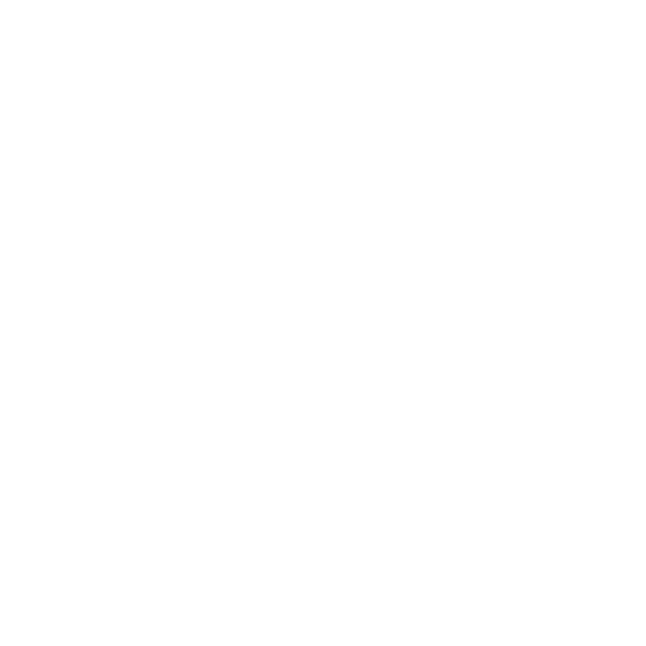 PSlogowhitesimple