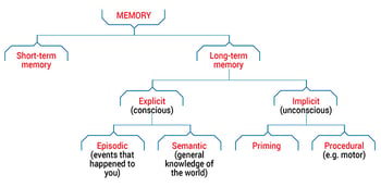 The 7 Types of Memory and How to Improve Them