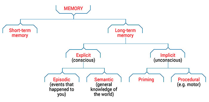 types of memory infographic queensland brain institute